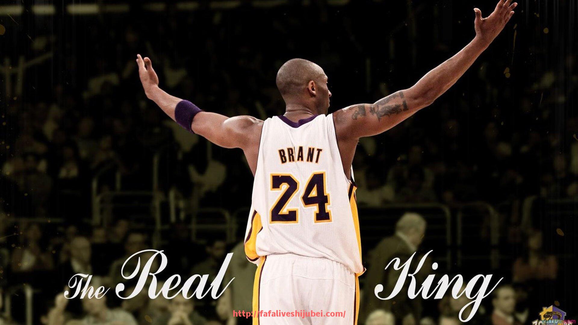 世俱杯直播-从观众角度出发:世俱杯现场体验报告与满意度调查