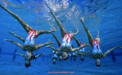 世俱杯直播-健身器材售后服务：健身器材安装与售后服务标准与保障